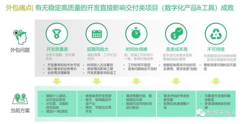 數(shù)字化轉(zhuǎn)型項(xiàng)目軟件外包開發(fā)的八大痛點(diǎn)與應(yīng)對(duì)策略